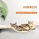 Katzen kletterwand Set mit Katzenbaum Hängematte,Katzentreppe Wand,Katzenbrücke,Kratzbrett, 7-Teiliges Katzen Wandelemente für Katze Catwalk (Beige)