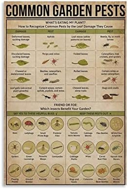 KJHG Vintage Poster RBWCommon Garden Pests Poster Decorative Painting Canvas Wall Art Living Room Posters Bedroom Painting 12x18inch(30x45cm)
