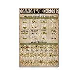 KJHG Vintage Poster RBWCommon Garden Pests Poster Decorative Painting Canvas Wall Art Living Room Po