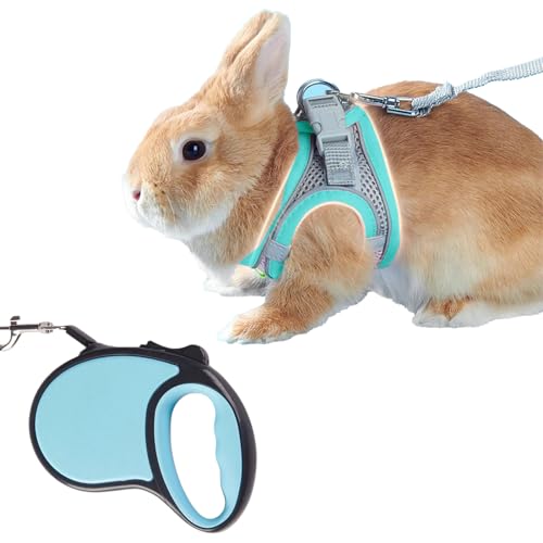  n[lX ʋCƌyʐ Eh 3m̎[v (XJCu[+3m̎[v, XS)