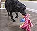 goDog Bubble Plush Dragons Squeaky Dog Toy, Chew Guard Technology - Coral, Large