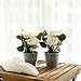 Azoco Set of 2 Artificial Flowers with Vase, Fake Flowers in Pot Silk Flower Arrangement Decorative for Home Farmhouse Office Table Centerpieces Wedding Party Indoor Decor
