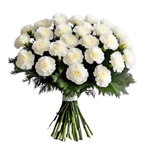 KaBloom - 24 White Carnation With Vase - Fresh Flowers for Birthday, Valentine's & Mother's Day