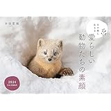 北の森に生きる愛らしい動物たちの素顔カレンダー2024（壁掛け）