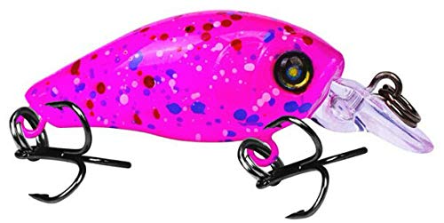 Foto von MiTho-Store Wobbler, Crankbait 5er Set, Kunstköder, Angeln, Raubfischköder, NEON, Kunstköder Set, Raubfischangeln, Hecht, Zander, Barsch, Forelle, Döbel, Rapfen
