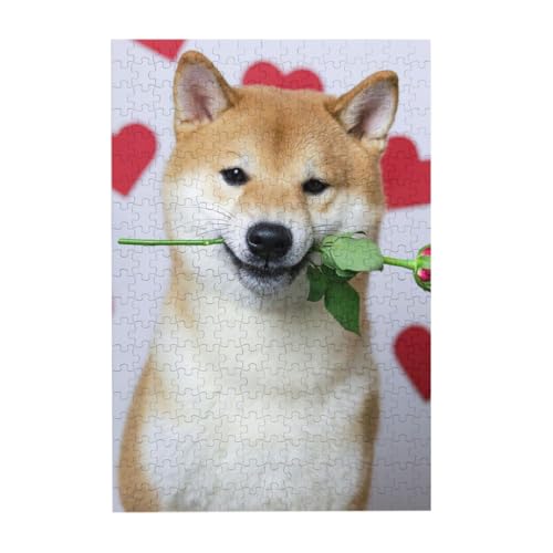 KȎČ ؐWO\[ WO\[pY mߋ 300 s[X  W[ CeA v[g lq pY SҌ Ǐ w 38cm×26cm