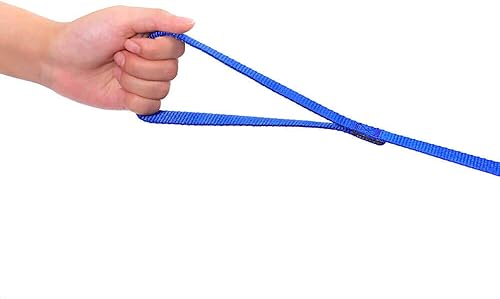 Miniatura 7 de AMAGOOD Correa de entrenamiento para perros y cachorros de recordatorio de obediencia para entrenamiento de 15 pies, 20 pies, 30 pies, 50 pies  4.57