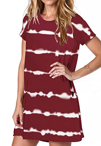Image of Alaster Women's Casual Summer T Shirt Dress Loose Short Sleeve Tunic Dress with Pocket for Women