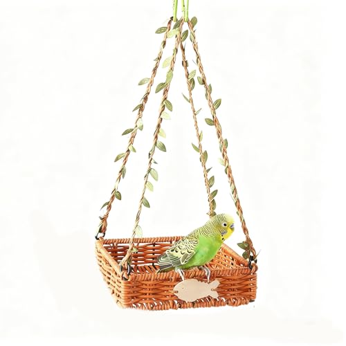 ݂艺^o[hXCOnbNAIEAIJCRAZLZCCRAJiAp̓VR҂ݑ~܂؂ - xeAVсAɐBp݂̊ɋANZT[(Square)