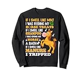 Smell Mint Feeding Horse Treats Shampoo Horse Gift