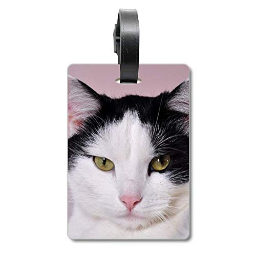 Étiquette valise animal haut de gamme en matériau robuste pour sac de voyage