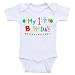 First Birthday Baby Clothes My 1st Birthday Onesies for Babies (18mo-Short Sleeve, Color As Shown)