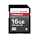 Wintec Filemate 16 GB Professional Class 10 Secure Digital SDHC Card