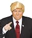 Fun World Comb Over Candidate Wig