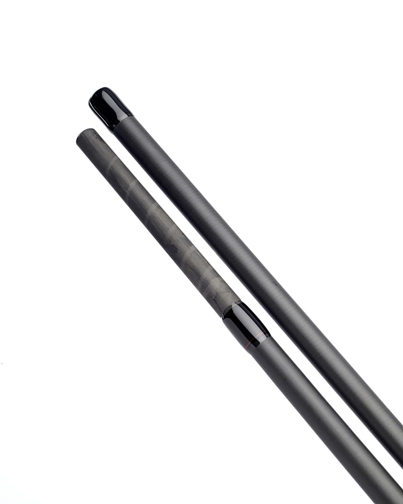DAIWA Caña de pescar Black Widow XT Carp