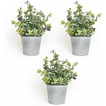 3-Pack Artificial Eucalyptus Plants in White Ribbed Galvanized Metal Pots, Small Fake Greenery Potted Plants for Home Decor, Rustic Farmhouse Table Centerpiece for Kitchen, Bathroom, Bedroom & Office