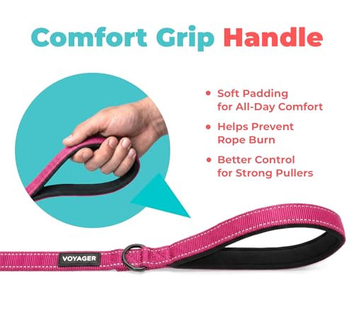 Image of Voyager Reflective Dog Leash with Neoprene Handle, 5ft Long, Supports Small, Medium, and Large Breed Puppies, Cute and Heavy Duty for Walking, Running, and Training - Fuchsia, S