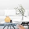 SPLITSKY 400ML Essential Oil Diffuser,Remote Control Aroma Diffuser with 6 Essential Oils Gift Set,Electric Scent Nebulizer Air Humidifier with 14 Colour Lights for home,bedroom #5