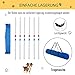 PawHut Agility Set Hunde 6-teiliges Agility-Ausrüstung für Hundetraining klappbar Steckhürdenset mit 6 Slalomstangen Tragetasche Trainingszubehör Koordinationstraining Agilityset für Spiele Training