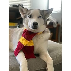 ComfyCamper Red Yellow Striped Scarf Dog Costume - X Large Medium Small French Lab Clothes Cosplay Halloween Costumes, S, Red ComfyCamper Red Yellow Striped Scarf Dog Costume – X Large Medium Small French Lab Clothes Cosplay Halloween Costumes, S, Red