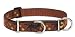 LupinePet Originals 1" Shadow Hunter 15-22" Martingale Collar for Medium and Larger Dogs
