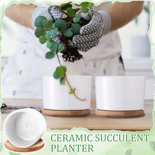 Pots de fleurs blancs pour décoration de table de bureau et salon moderne