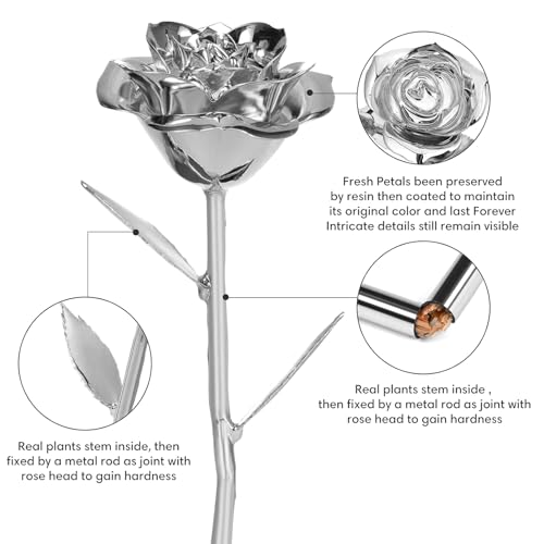 Image of Anthonic Gold Dipped Infinity Rose Last Forever Flower Decor, Birthday Gift for Women in Her Birthday Valentines Day Mothers Day, Resin Preserved Rose | Anniversary Present for Mom (Silver)