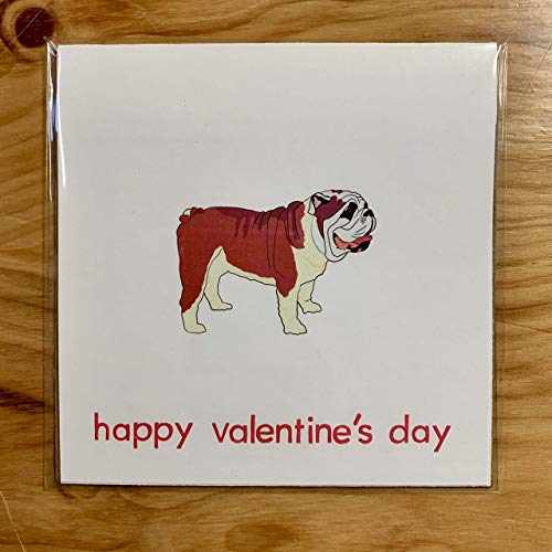 happy valentines day bulldog
