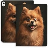Fluffy Pomeranian Portrait Case for iPad 9th/10th/11th Gen,Mini 5/4/3/2/1(7.9in) Mini 6 (8.3in) Mini 7(8.3in),Air 4/5/6/7,Pro 11in(2020/2021/2022/2024) Auto Wake/Sleep