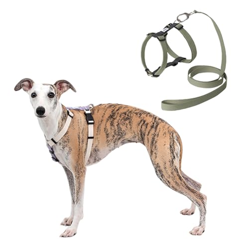 Parluer Escape-Proof Dog Harness and Leash Set - Eco-Friendly RPET Webbing, Matte Alloy Buckles & POM Quick-Release, Lightweight No-Pull Vest for Large Dogs