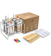 ecozoi Stainless Steel Popsicle Molds and Rack - 6 Square Ice Pop Makers + 30 Reusable Bamboo Sti...