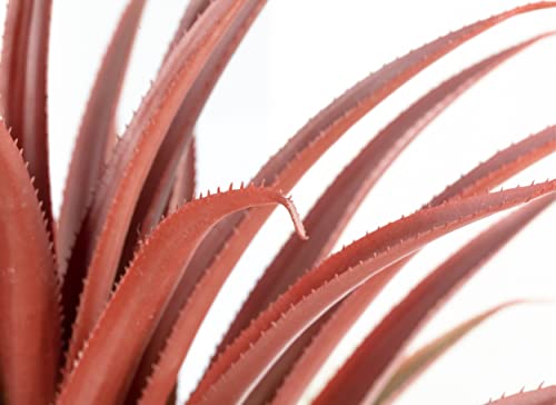 Sunprairie Hyper Realistic Big Red Artificial Aloe Vera Plant 26 Inches Tall. Large Faux Agave In Matte Black Pot. #TOP5