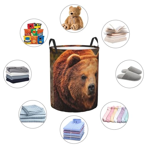 Panier à linge haut imprimé ours, bac rangement couverture - 7