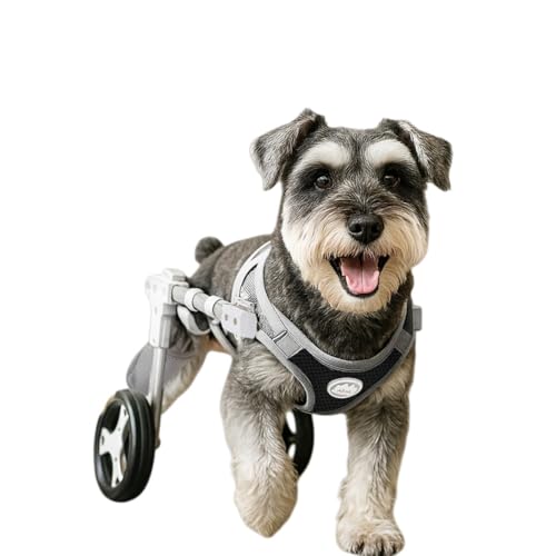 EVREFIN�y�b�g�p�Ԉ֎q���߉\�A���s�⏕�A�ϋv���A�ȒP�g���A���L�p�L�k�\�A�y�ʁA�y�b�g�⏕�Ԍ�둫�u���P�b�g�i�I�[�g�o�C-�u���b�N�AXS�j (�͂����傭�ɂ��,S)