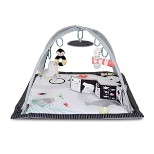 Red Kite Play Gym Arctic Dreams Padded Play Gym with Hanging Toys, Tummy Prop & Baby Safe Mirror (49cm x 79cm x 79cm)