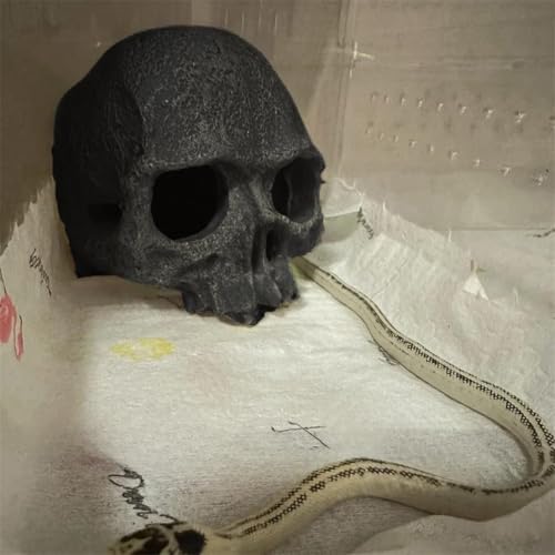 Image of Aquarium Terrarium Skull Decor, Reptile Hide House Shelter Cave for Geckos Spider Lizard Snake, Fish Tank Hide Cave House Hideouts Stones for Small Fish Shrimp Betta Crab Guppy Cichlids (Black)