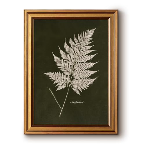Bzstyleart Vintage Wall Art Decor Bedroom, Vintage Gold Framed Artwork, Fern Leaves Botanical wall Art Living Room, Canvas Picture Painting Room Decor Aesthetic, 12 x 16 Inch