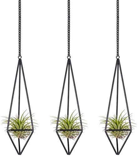 Libproqia Luftpflanzenhalter Set - 4-teilig In Roségold Für Tillandsien