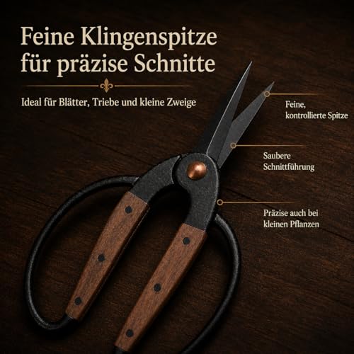 Traditionelle asiatische Bonsaischere, Pflanzenschere, Kräuterschere, Gartenschere, Blumenschere - aus schwarzem Edelstahl mit Walnussholzgriff