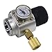 Keg Charger Mini CO2 Regulator - PERA Brand 0-30 PSI Beer Keg Mini Charger with 3/8