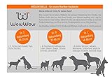 WowWow Professional Hundehalsband mit Leine - schwarz - Größe L 46-66 cm, 205g leicht, innovatives Halsband mit integrierter Leine - bekannt aus der Höhle der Löwen
