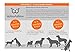 WowWow Professional Hundehalsband mit Leine - schwarz - Größe L 46-66 cm, 205g leicht, innovatives Halsband mit integrierter Leine - bekannt aus der Höhle der Löwen