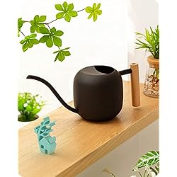 Baffect Regadera de Interior de Acero Inoxidable de 1.2 L/40 onzas con Mango de Madera, regadera de jardín de Metal con Boquilla Larga para macetas pequeñas y Flores (Negro)