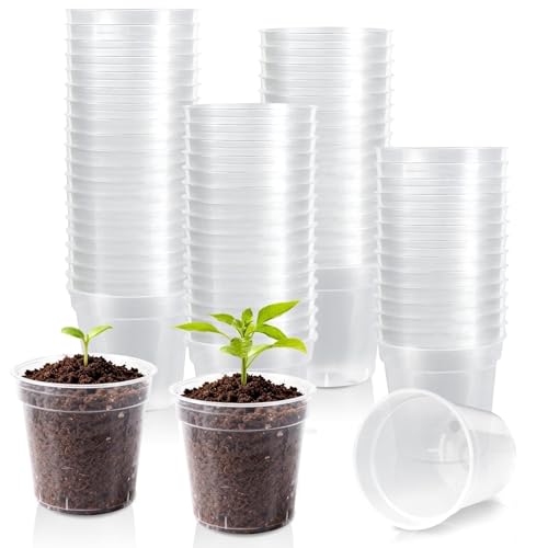 RXLWYUNLAE 120 Pcs 2 Inch Clear Mini Nursery Pots for Plants Plastic Seedling Clear Plant Pots with Drainage Holes Seed Starting Trays for Various Seeds Indoor & Outdoor Flower Planters