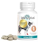 💙 LEBENSFREUDE BIS INS HOHE ALTER - Spezielle Nährstoffe versorgen die Gelenke optimal und unterstützen somit die Bewegungsfreude deines Hundes