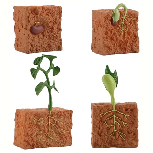 4 PCS Farm Plant Life Cycle Model Figure Set Plants