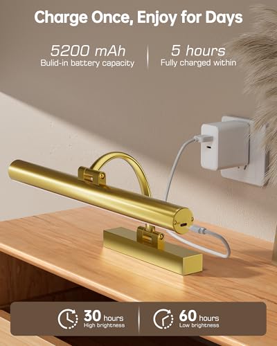 KEILAIMO Picture Lights for Wall, 16.5\" Rechargeable Art Light with Remote & Timer, 5200mAh Battery Operated Poster Lights, 3 Color Modes & 3 Brightness Levels for Pictures, Gallery, Frame (1 Pack)