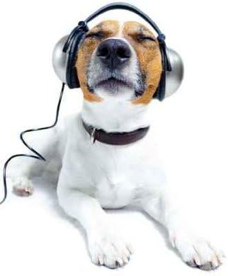 Wallmonkeys Dog Listening Music Wall Mural Peel and Stick Graphic (24 in H x 16 in W) WM374920