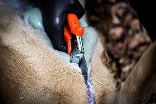 LÖWE Professional Hunting Shears