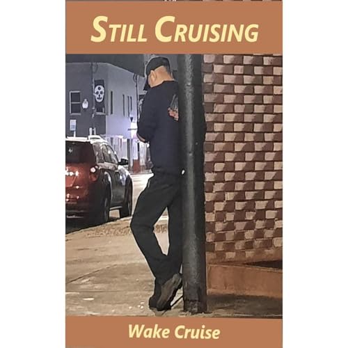 Still Cruising by Wake Cruise episode artwork